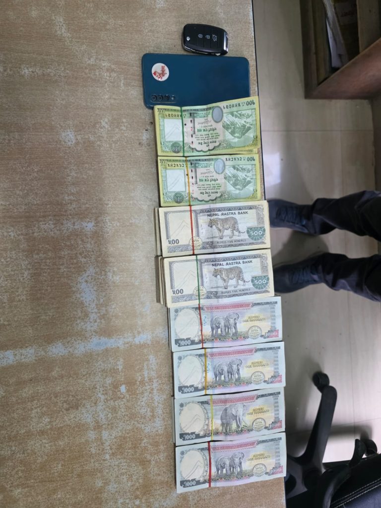 स्रोत नखुलेको ६ लाख रुपैयाँसहित कार चालक नियन्त्रणमा