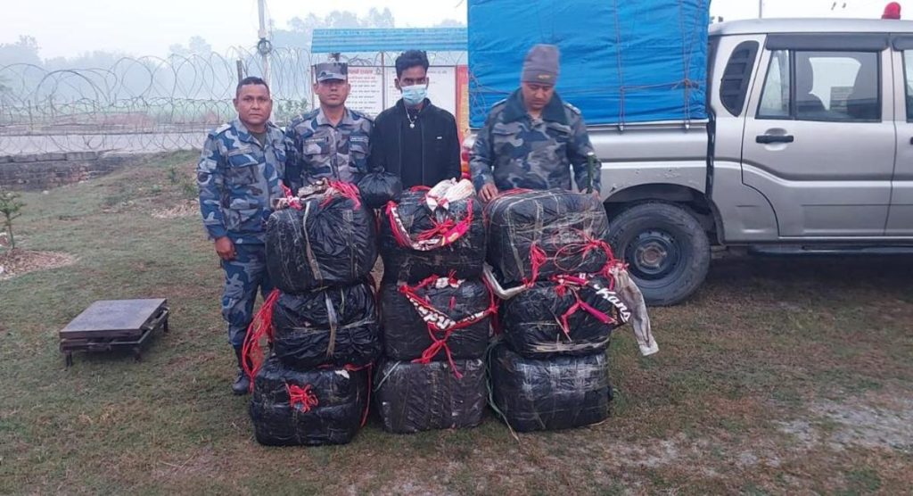 जहदामा जमिनमुनि लुकाइएको ठूलो परिमाणको गाँजा बरामद, एक युवक पक्राउ