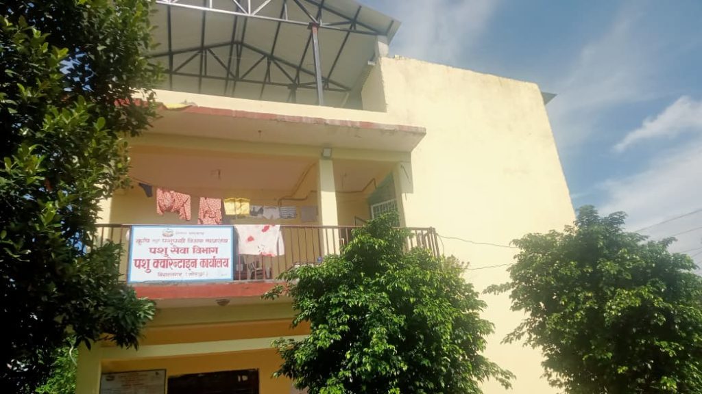 एक वर्षमा २ हजार ४१० केजी तस्करीको भारतीय माछा नष्ट