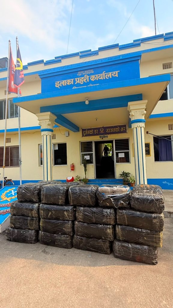 १ हजार ३३ किलो गाँजासहित मिनी ट्रक पक्राउ, चालक नियन्त्रणमा