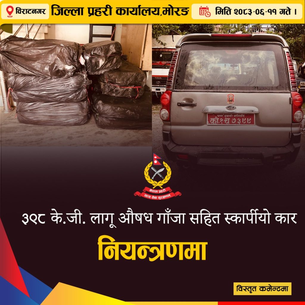 ३९८ किलो गाँजा बोकेको स्कार्पियो प्रहरी देखेपछि युटर्न, कारलाई ठक्कर दिएर चालक फरार