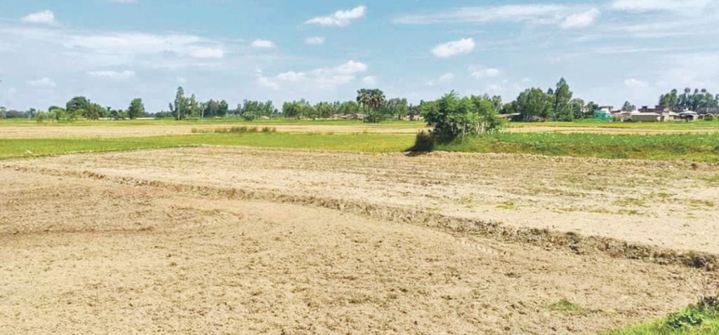लाखौँ बिघा जमिन बाँझो, खाद्यान्नका लागि भारतको भर